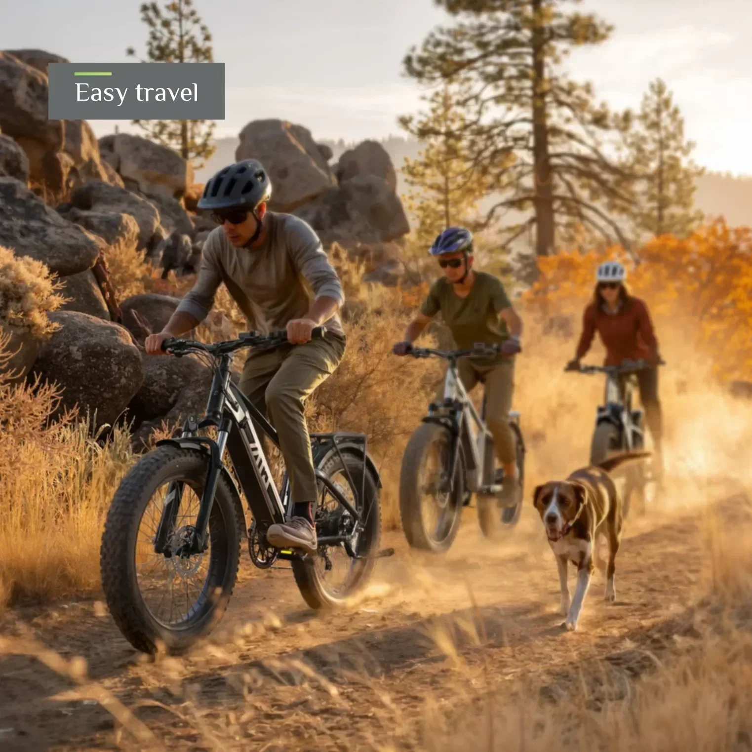 TST® Combo Sale Defender+Dreamer 26" Fat Tire Ebike For Adult - Image 4