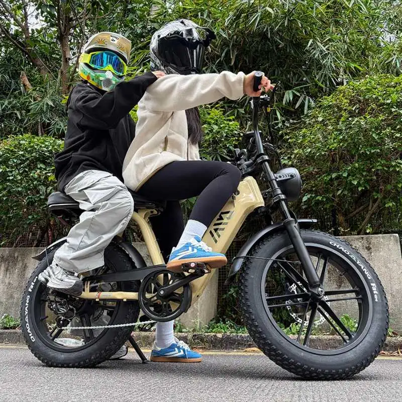 TST® Combo Sale R7 1500W Full Suspension Electric Cargo Bike - Image 4
