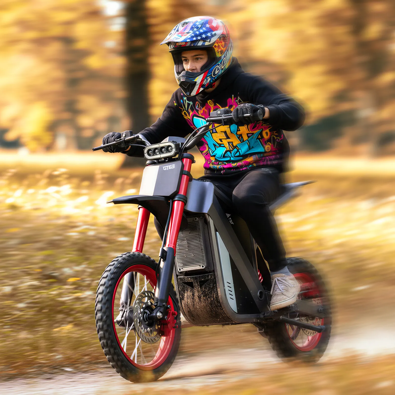 TST® GT63 14" 2200W 210Nm Electric Dirt Bike - Image 4